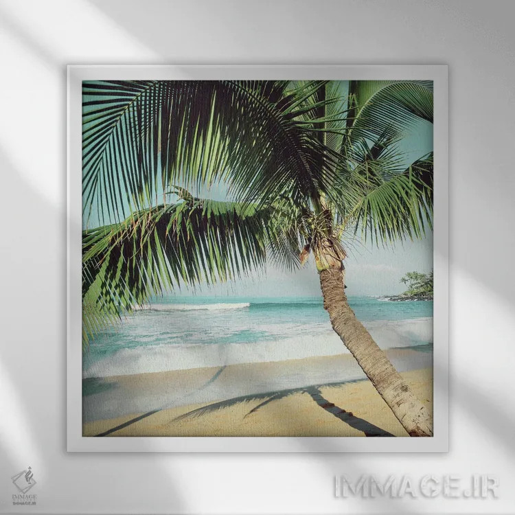 تابلو ساحل نپیلی اثر دانیتا دلیمنت - نمای قابدار سفید