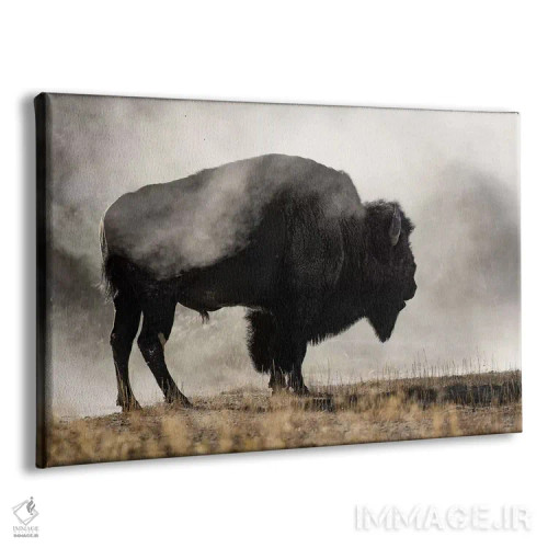 تابلو حوضچه آبفشان اثر دانیتا دلیمنت - نمای پرسپکتیو محصول