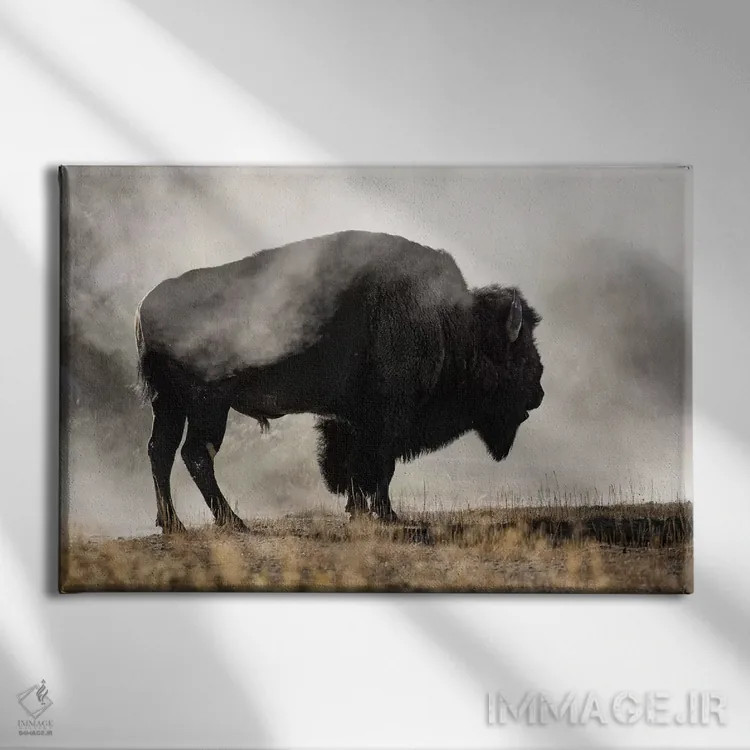 تابلو حوضچه آبفشان اثر دانیتا دلیمنت - نمای روبهرو روی دیوار