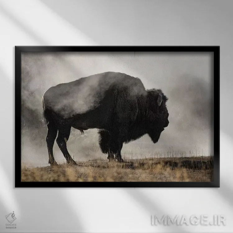 تابلو حوضچه آبفشان اثر دانیتا دلیمنت - نمای قابدار مشکی