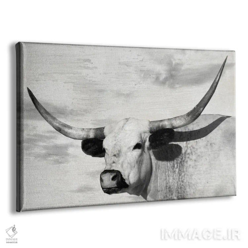 تابلو گل شَقایق زرد اثر دانیتا دلیمنت - نمای پرسپکتیو محصول