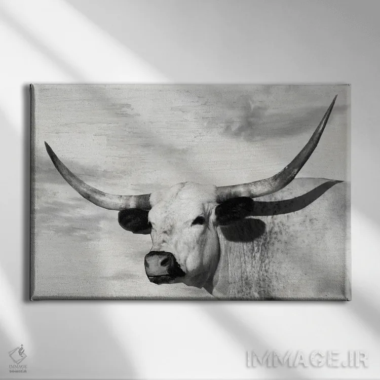 تابلو گل شَقایق زرد اثر دانیتا دلیمنت - نمای روبهرو روی دیوار