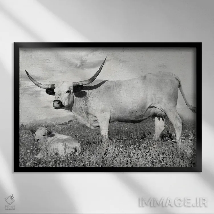 تابلو شقایق زرد و بلو بانت (گل آبی) اثر دانیتا دلیمنت - نمای قابدار مشکی