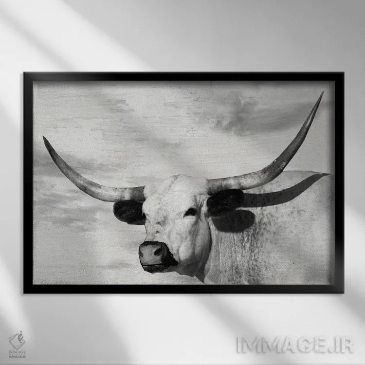 تابلو گل شَقایق زرد اثر دانیتا دلیمنت - نمای قابدار مشکی