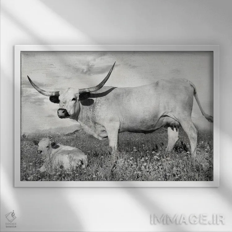 تابلو شقایق زرد و بلو بانت (گل آبی) اثر دانیتا دلیمنت - نمای قابدار سفید