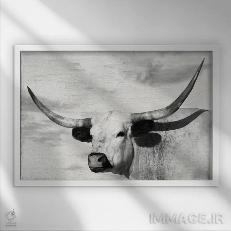 تابلو گل شَقایق زرد اثر دانیتا دلیمنت - نمای قابدار سفید