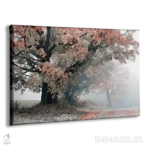 تابلو سرزمین میانی جادویی (ارباب حلقهها) اثر دانیتا دلیمنت - نمای پرسپکتیو محصول