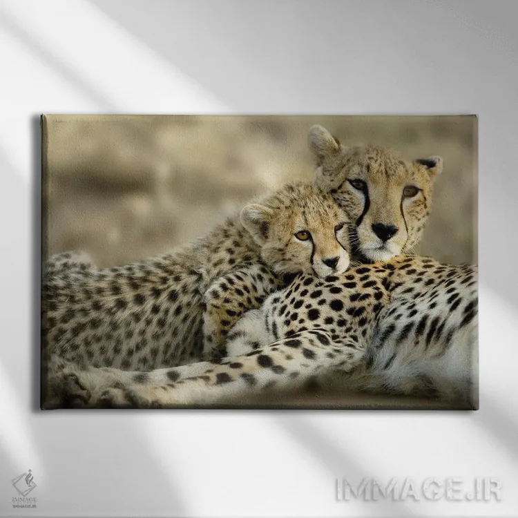 تابلو توله کنیا اثر دانیتا دلیمنت - نمای روبهرو روی دیوار