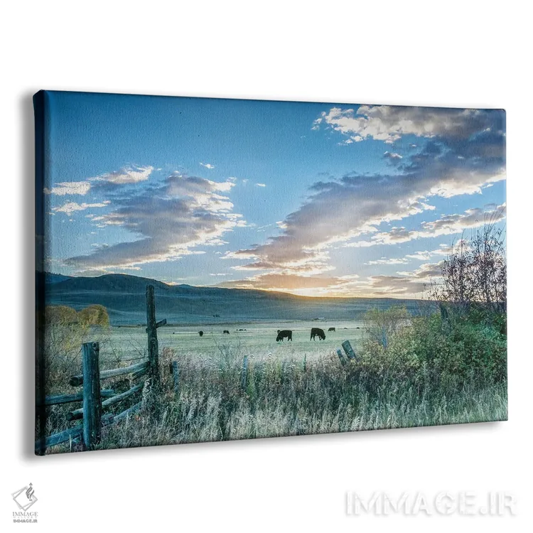 تابلو طلوع مزرعه اثر دانیتا دلیمنت - نمای پرسپکتیو محصول
