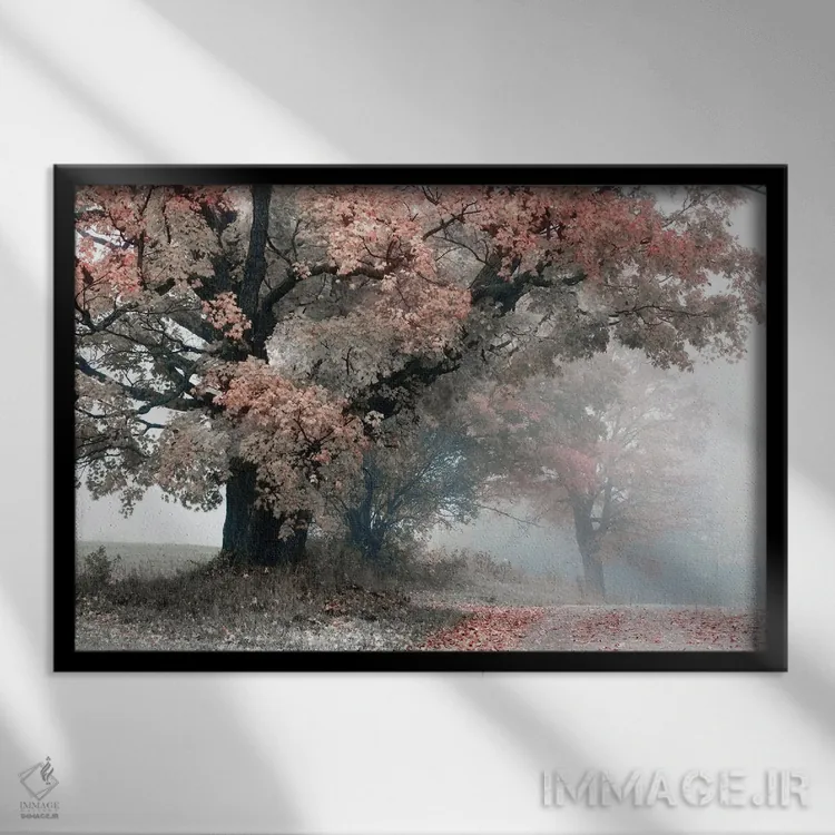 تابلو سرزمین میانی جادویی (ارباب حلقهها) اثر دانیتا دلیمنت - نمای قابدار مشکی