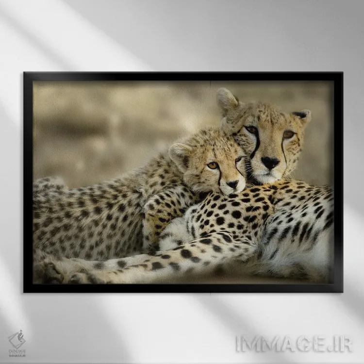 تابلو توله کنیا اثر دانیتا دلیمنت - نمای قابدار مشکی