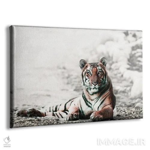 تابلو ببر بنگال جنگلی اثر دانیتا دلیمنت - نمای پرسپکتیو محصول