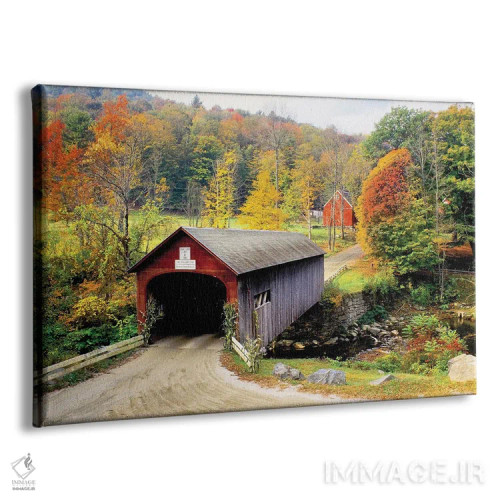 تابلو پل مسقف ورمانت اثر دانیتا دلیمنت - نمای پرسپکتیو محصول