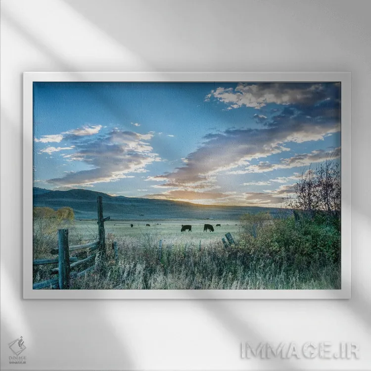 تابلو طلوع مزرعه اثر دانیتا دلیمنت - نمای قابدار سفید