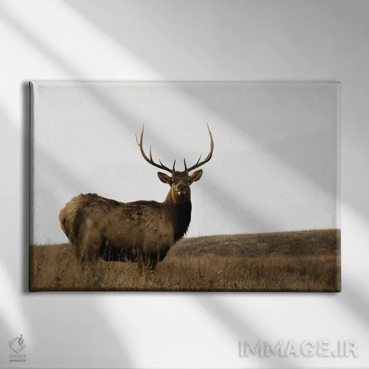 تابلو منطقه ملی بوفالوها اثر دانیتا دلیمنت - نمای روبهرو روی دیوار