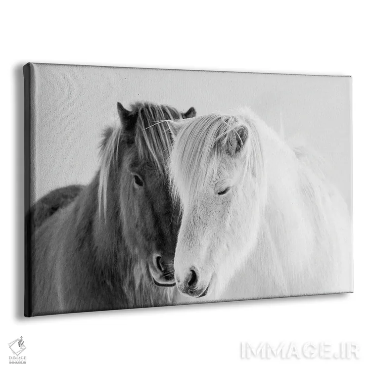 تابلو جنوب ایسلند اثر دانیتا دلیمنت - نمای پرسپکتیو محصول