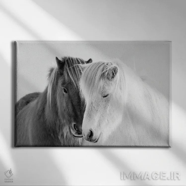 تابلو جنوب ایسلند اثر دانیتا دلیمنت - نمای روبهرو روی دیوار