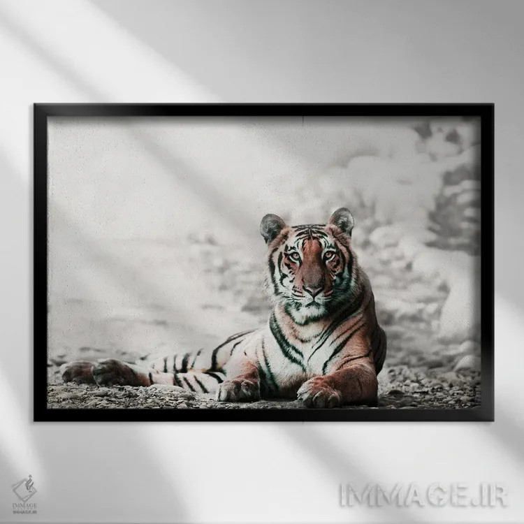 تابلو ببر بنگال جنگلی اثر دانیتا دلیمنت - نمای قابدار مشکی