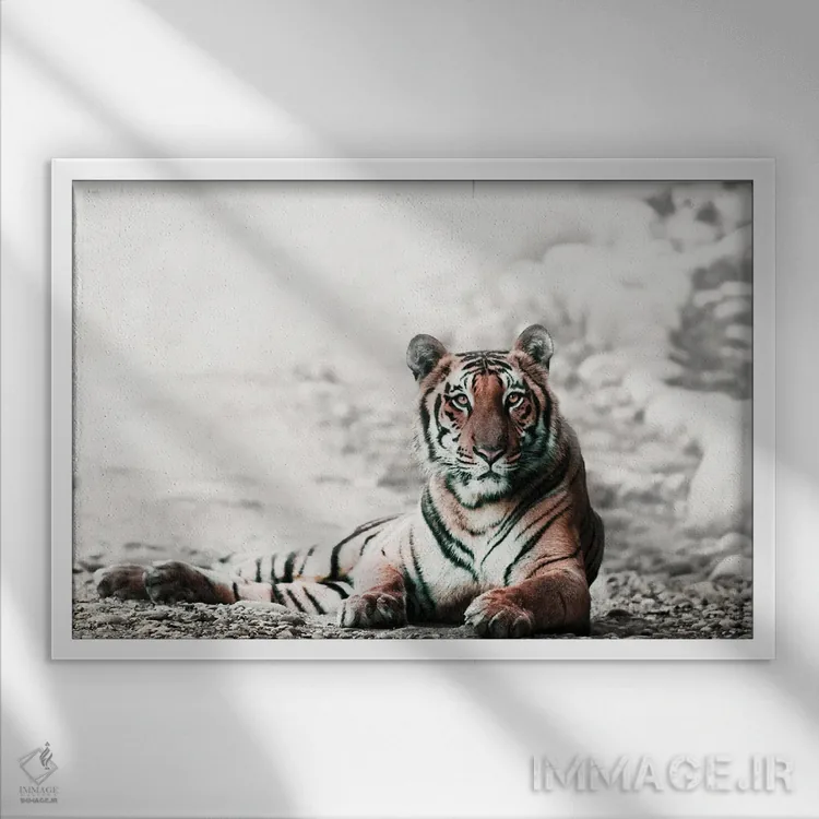 تابلو ببر بنگال جنگلی اثر دانیتا دلیمنت - نمای قابدار سفید