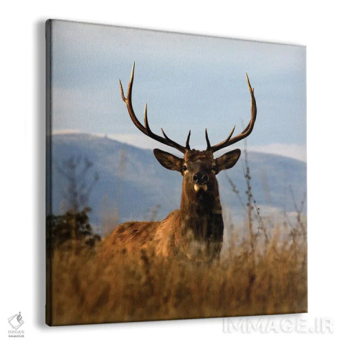 تابلو گوزن بزرگ شارلو اثر دانیتا دلیمنت - نمای پرسپکتیو محصول