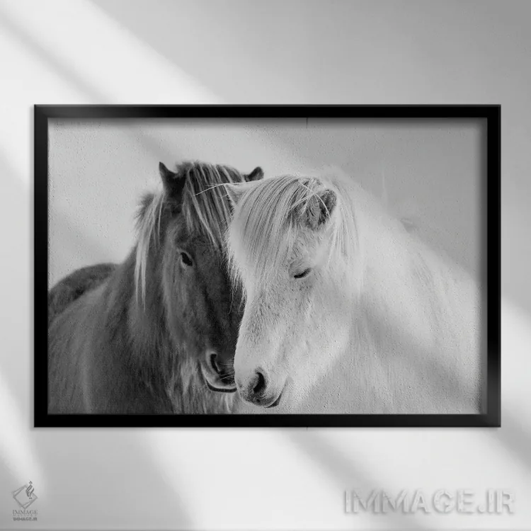 تابلو جنوب ایسلند اثر دانیتا دلیمنت - نمای قابدار مشکی