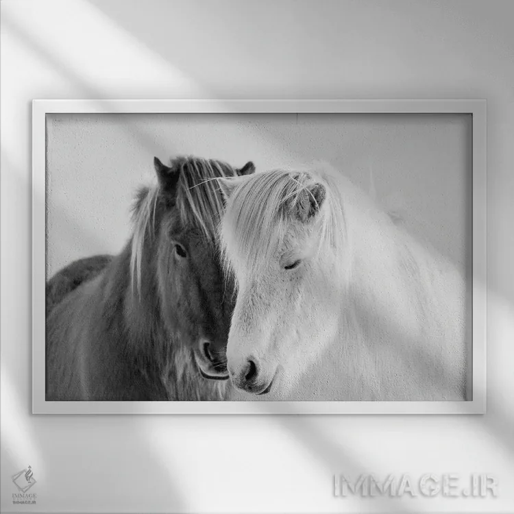 تابلو جنوب ایسلند اثر دانیتا دلیمنت - نمای قابدار سفید