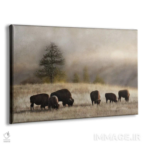 تابلو چریدن بر لبه اثر دانیتا دلیمنت - نمای پرسپکتیو محصول