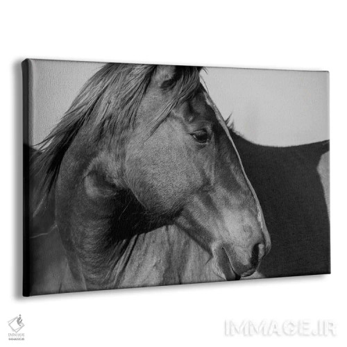 تابلو اسب وحشی تپههای فلینت اثر دانیتا دلیمنت - نمای پرسپکتیو محصول