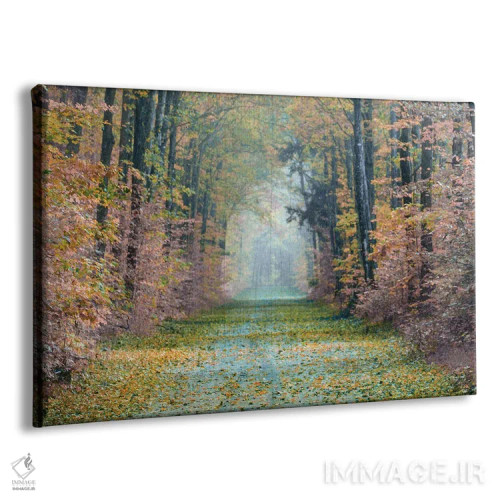 تابلو مسیر افسونشده اثر دانیتا دلیمنت - نمای پرسپکتیو محصول