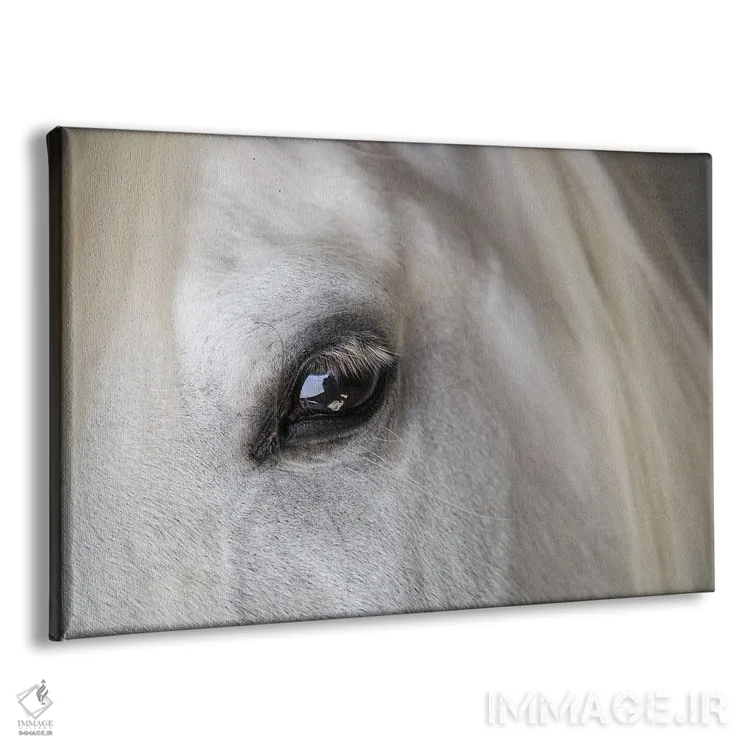 تابلو اسب جزایر بالئاریک اثر دانیتا دلیمنت - نمای پرسپکتیو محصول