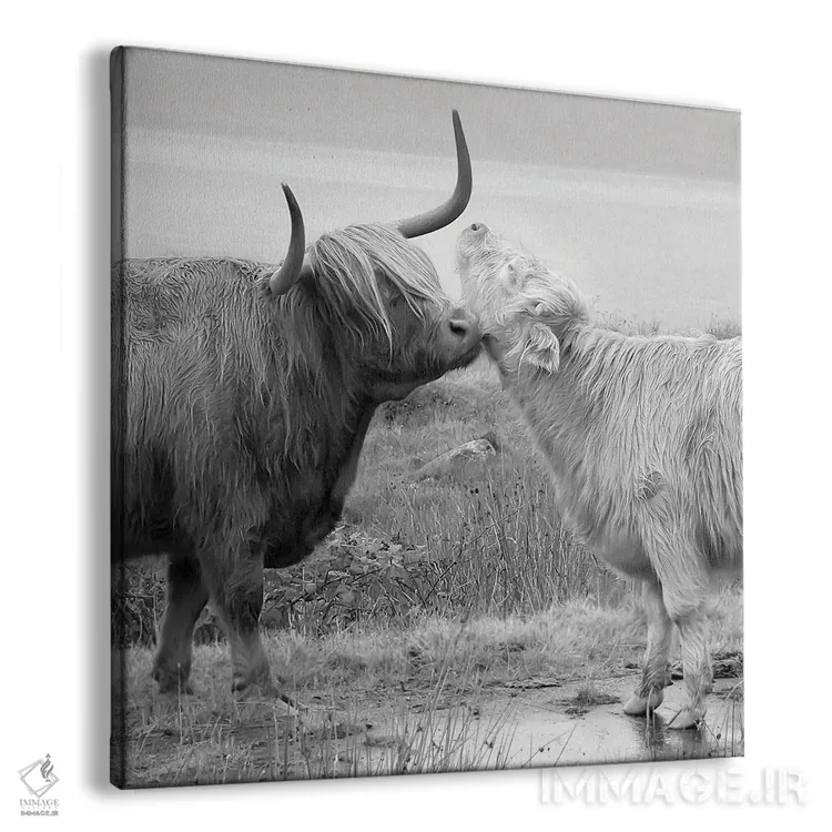 تابلو خواستگاری در هایلند اثر دانیتا دلیمنت - نمای پرسپکتیو محصول