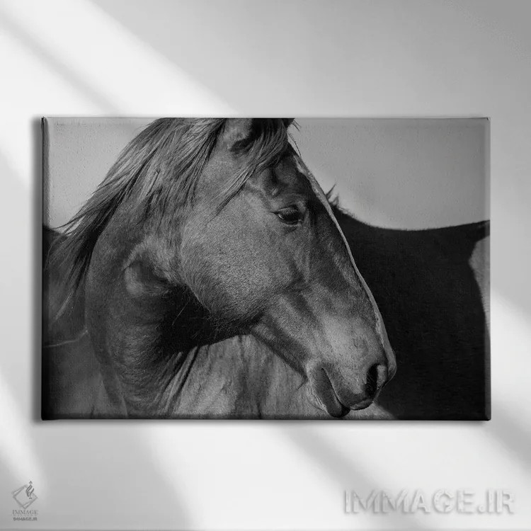 تابلو اسب وحشی تپههای فلینت اثر دانیتا دلیمنت - نمای روبهرو روی دیوار