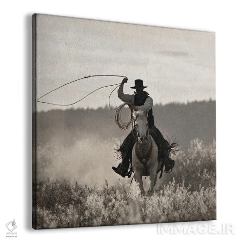 تابلو کابوی پوندروسا اثر دانیتا دلیمنت - نمای پرسپکتیو محصول