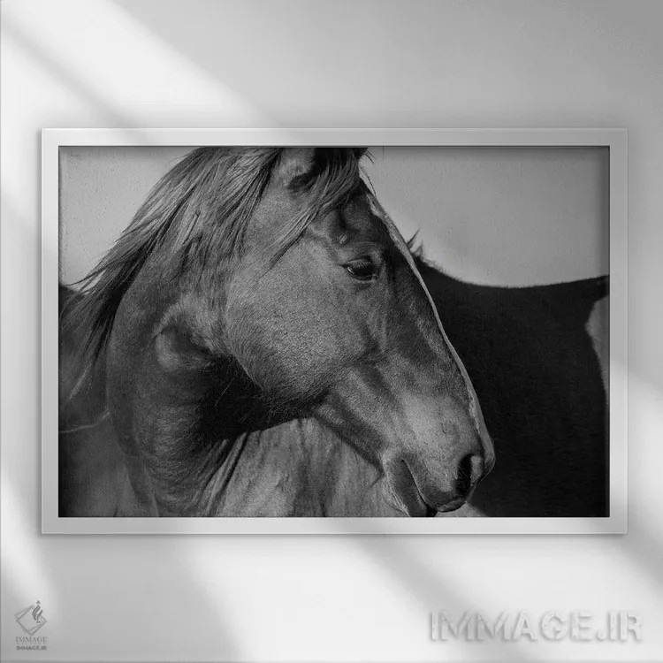 تابلو اسب وحشی تپههای فلینت اثر دانیتا دلیمنت - نمای قابدار سفید