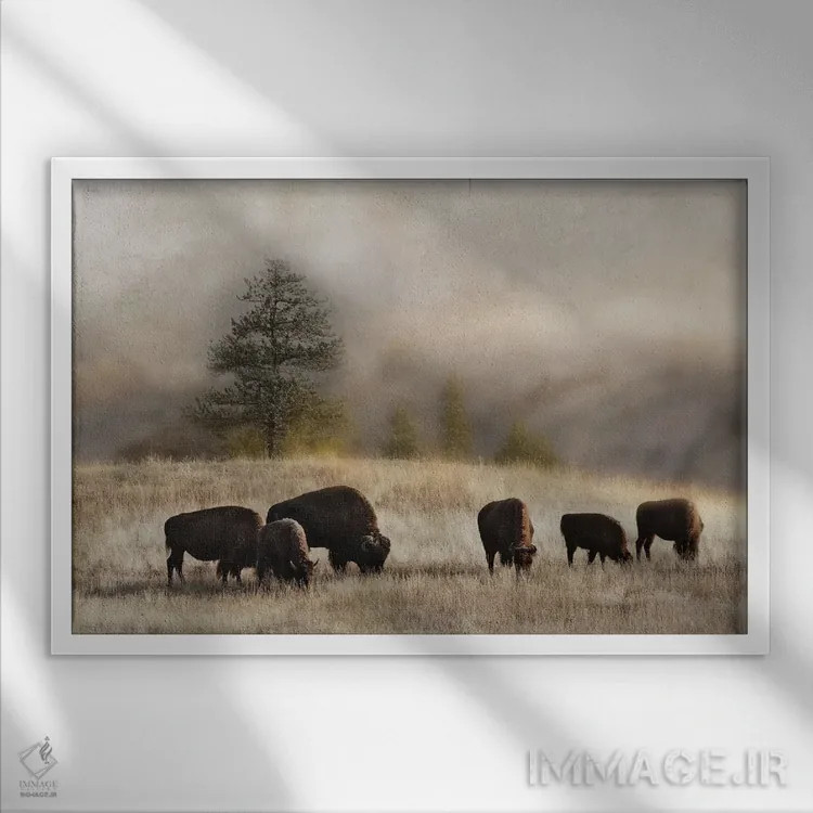 تابلو چریدن بر لبه اثر دانیتا دلیمنت - نمای قابدار سفید