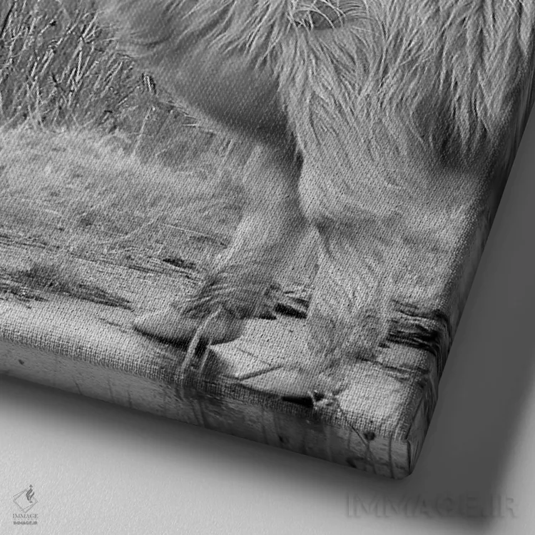 تابلو خواستگاری در هایلند اثر دانیتا دلیمنت - نمای نزدیک بافت بوم