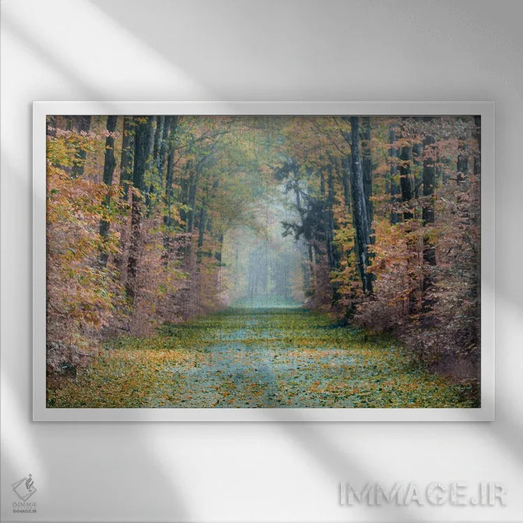 تابلو مسیر افسونشده اثر دانیتا دلیمنت - نمای قابدار سفید