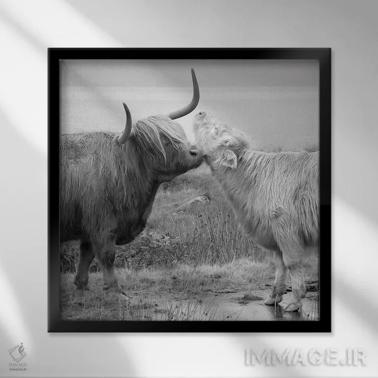 تابلو خواستگاری در هایلند اثر دانیتا دلیمنت - نمای قابدار مشکی