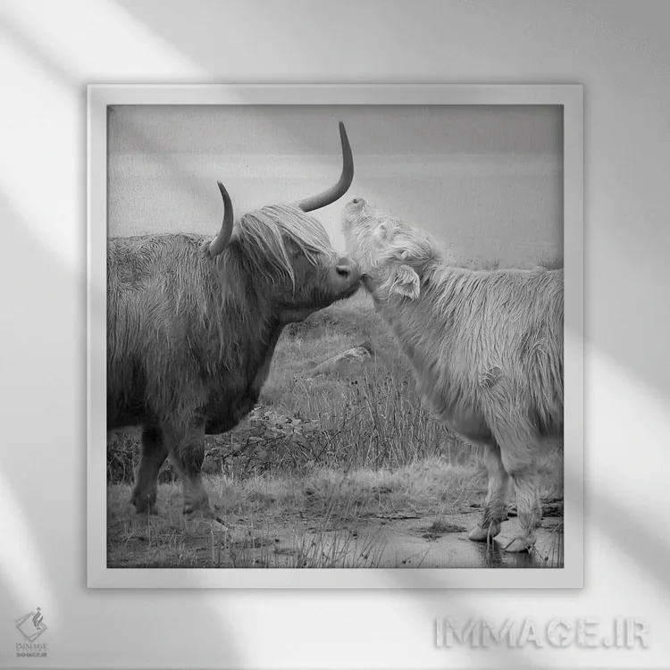 تابلو خواستگاری در هایلند اثر دانیتا دلیمنت - نمای قابدار سفید