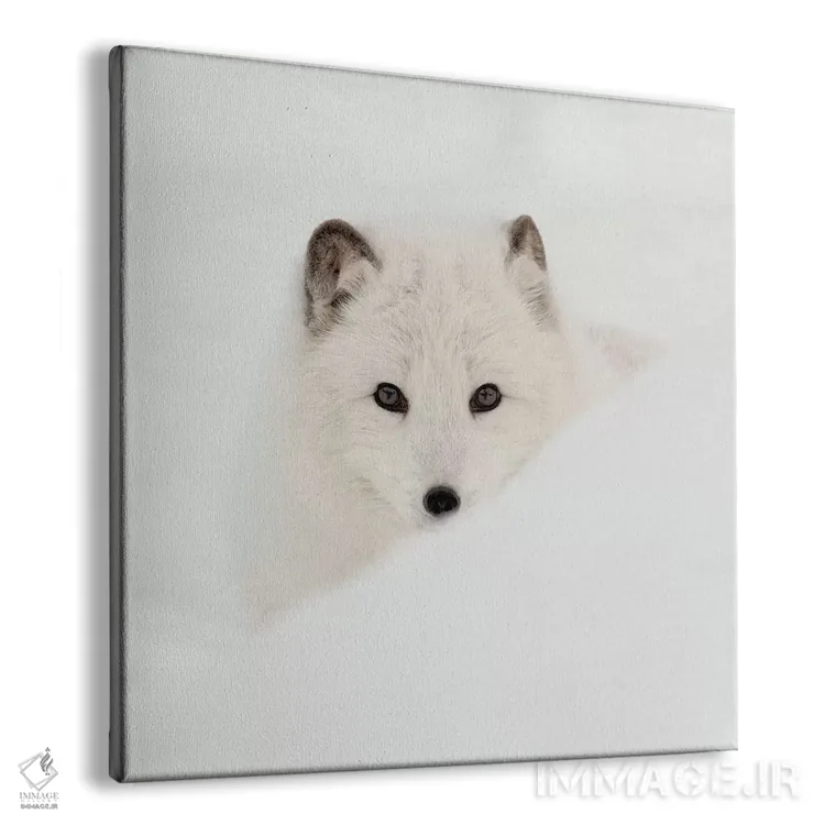 تابلو روباه قطبی اثر دانیتا دلیمنت - نمای پرسپکتیو محصول