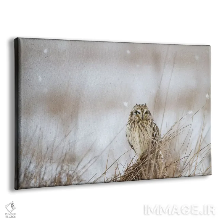 تابلو زمستان دشت اثر دانیتا دلیمنت - نمای پرسپکتیو محصول