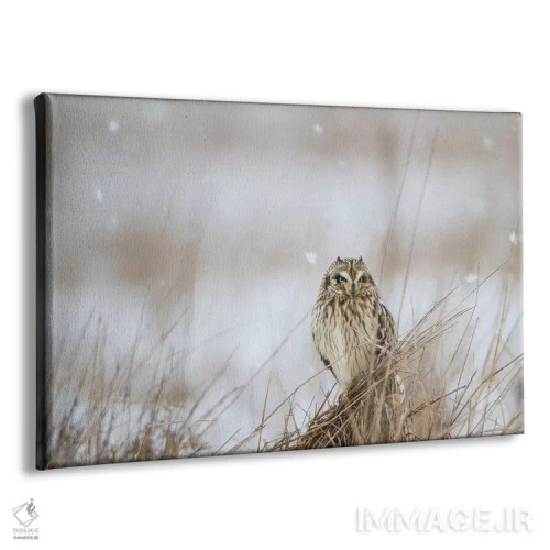 تابلو زمستان دشت اثر دانیتا دلیمنت - نمای پرسپکتیو محصول