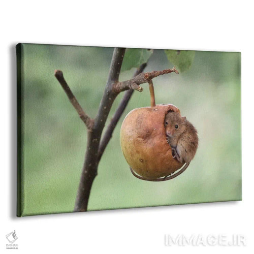 تابلو چرت کوتاه اثر باور میسون - نمای پرسپکتیو محصول