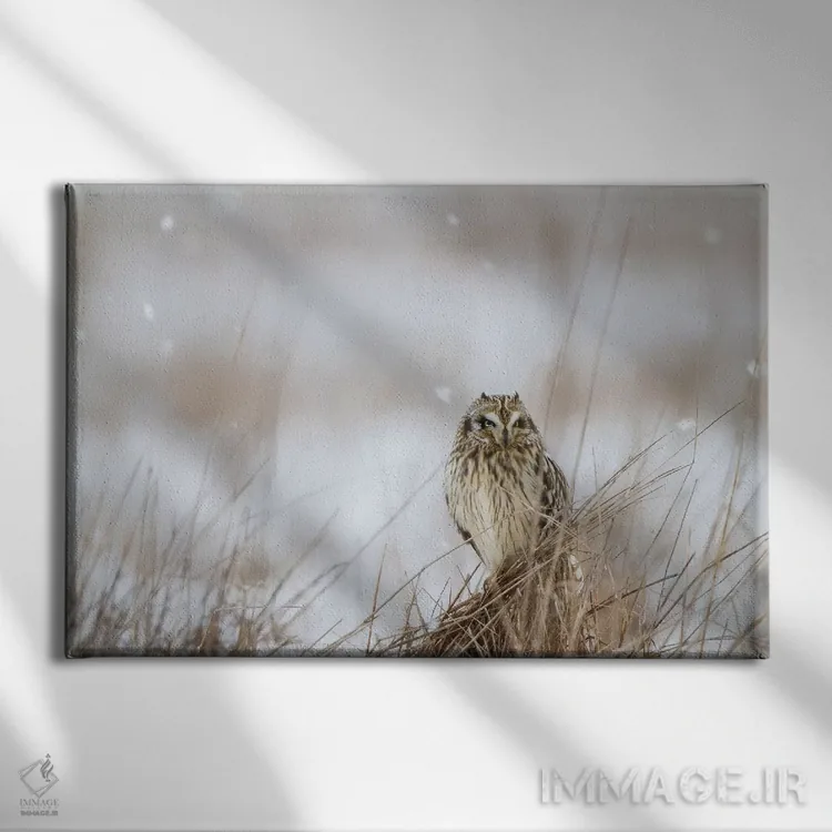 تابلو زمستان دشت اثر دانیتا دلیمنت - نمای روبهرو روی دیوار