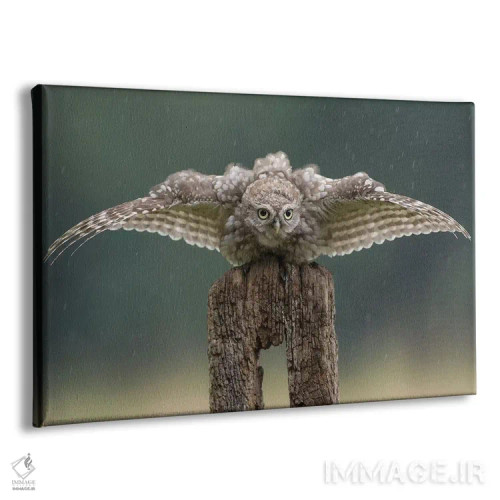 تابلو بتمن اثر باور میسون - نمای پرسپکتیو محصول