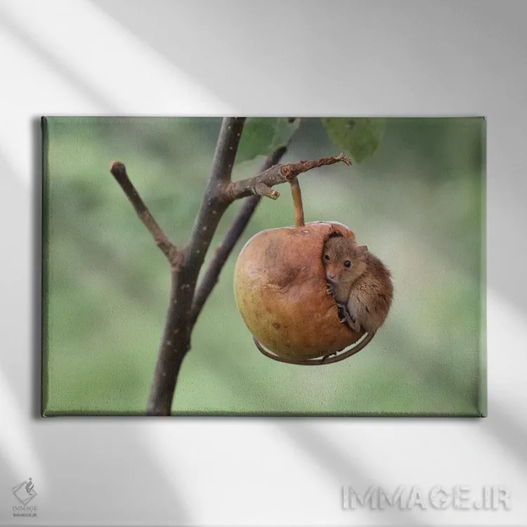تابلو چرت کوتاه اثر باور میسون - نمای روبهرو روی دیوار