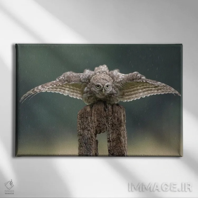 تابلو بتمن اثر باور میسون - نمای روبهرو روی دیوار