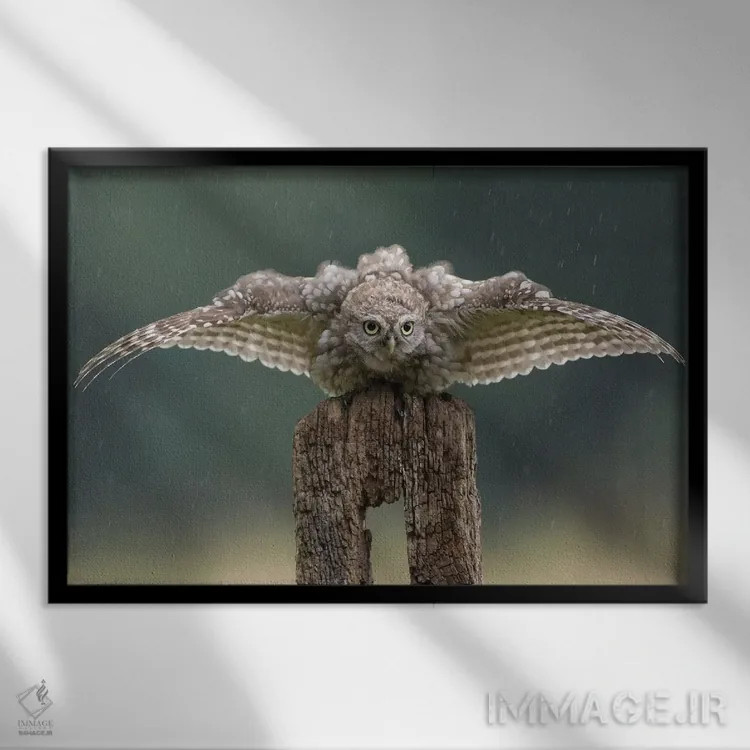 تابلو بتمن اثر باور میسون - نمای قابدار مشکی