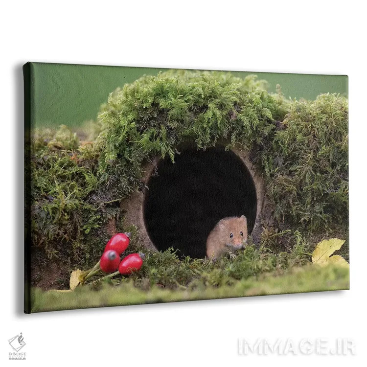 تابلو لولهٔ قدیمی اثر باور میسون - نمای پرسپکتیو محصول