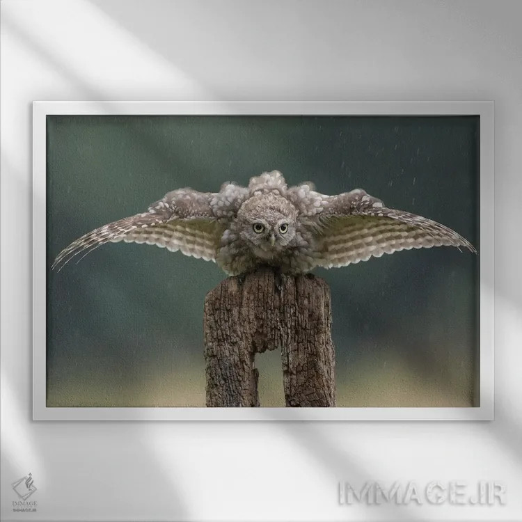 تابلو بتمن اثر باور میسون - نمای قابدار سفید